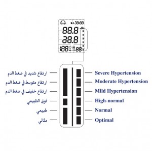 Robins Blood pressure monitore RM20